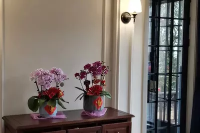 老洋房案例